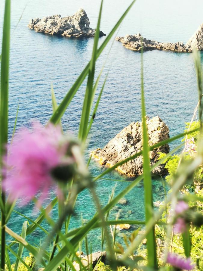 Apartmán La Terrazza Di Rovaglioso Palmi Exteriér fotografie