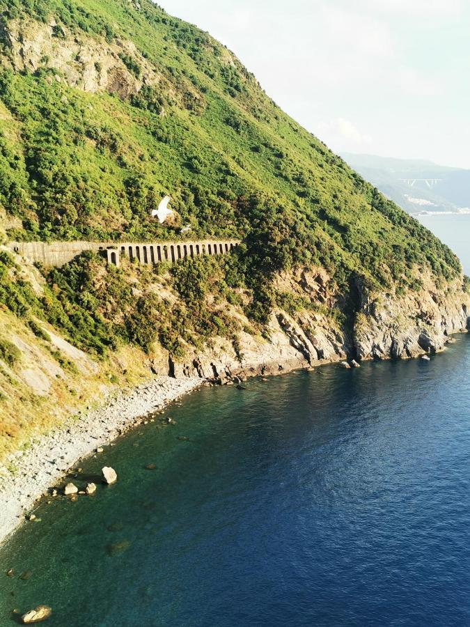 Apartmán La Terrazza Di Rovaglioso Palmi Exteriér fotografie