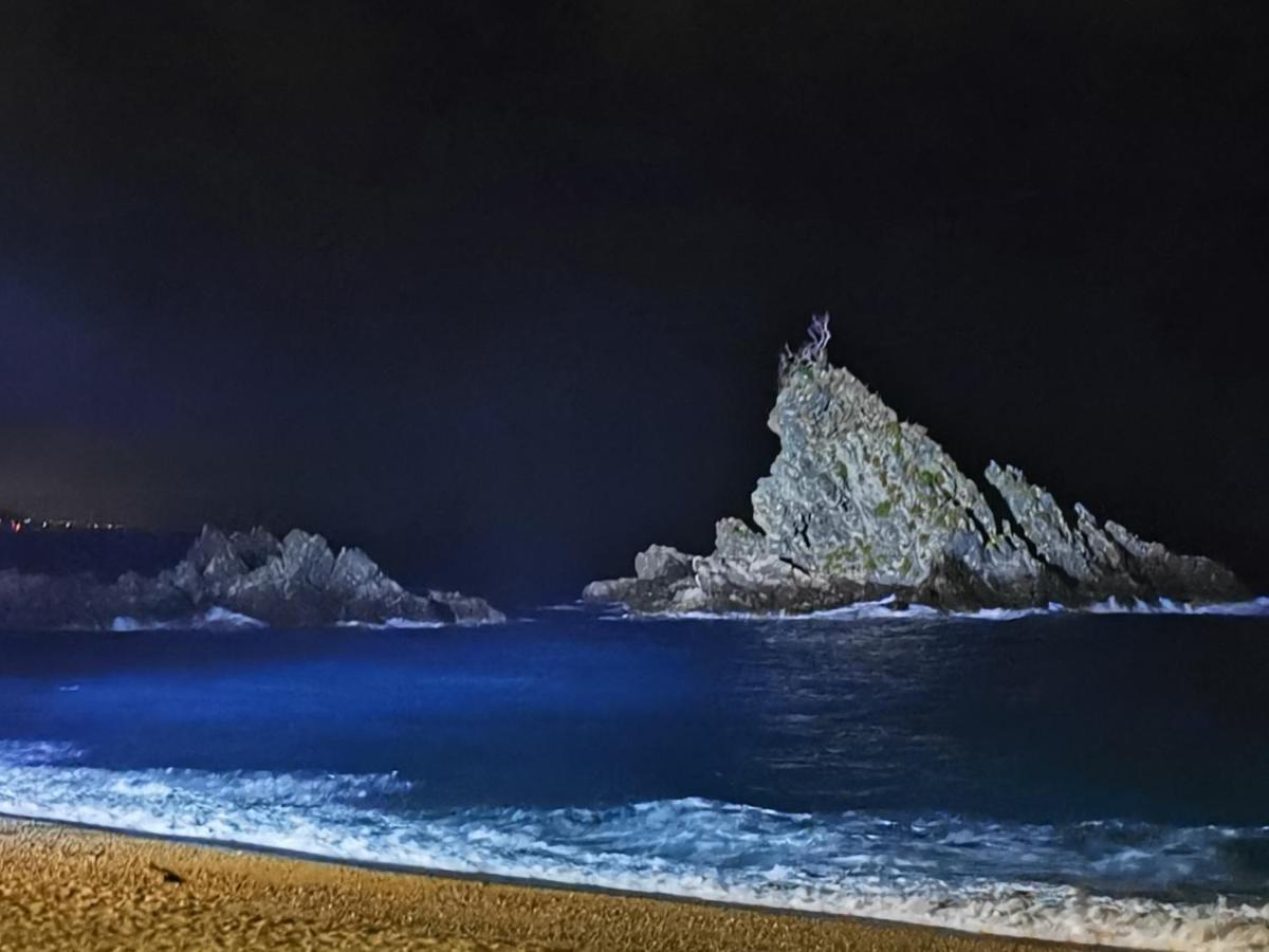 Apartmán La Terrazza Di Rovaglioso Palmi Exteriér fotografie