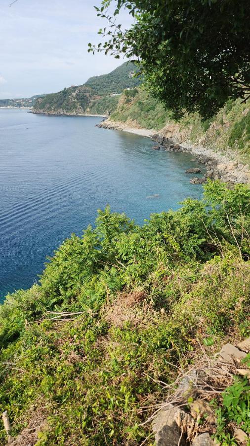 Apartmán La Terrazza Di Rovaglioso Palmi Exteriér fotografie