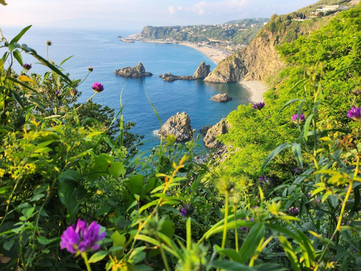 Apartmán La Terrazza Di Rovaglioso Palmi Exteriér fotografie